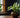 Calathea