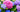 Hortensia