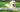 Reparere gule plette fra hundetis