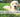 Reparere gule plette fra hundetis