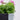 Sæt hjul til blomsterkasse med drejebeslag, sort stål og gummidæk