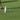 golf sand flaske